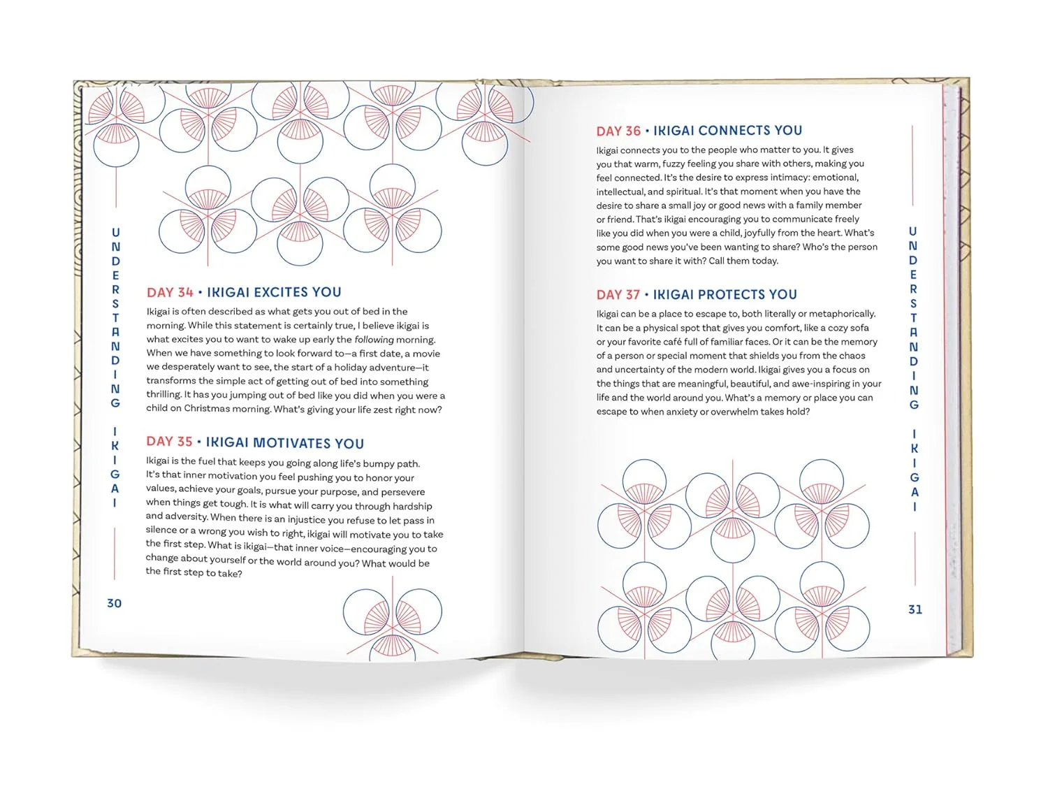 A Year of Ikigai: Finding Everyday Purpose Through Japanese Wisdom - Image 5
