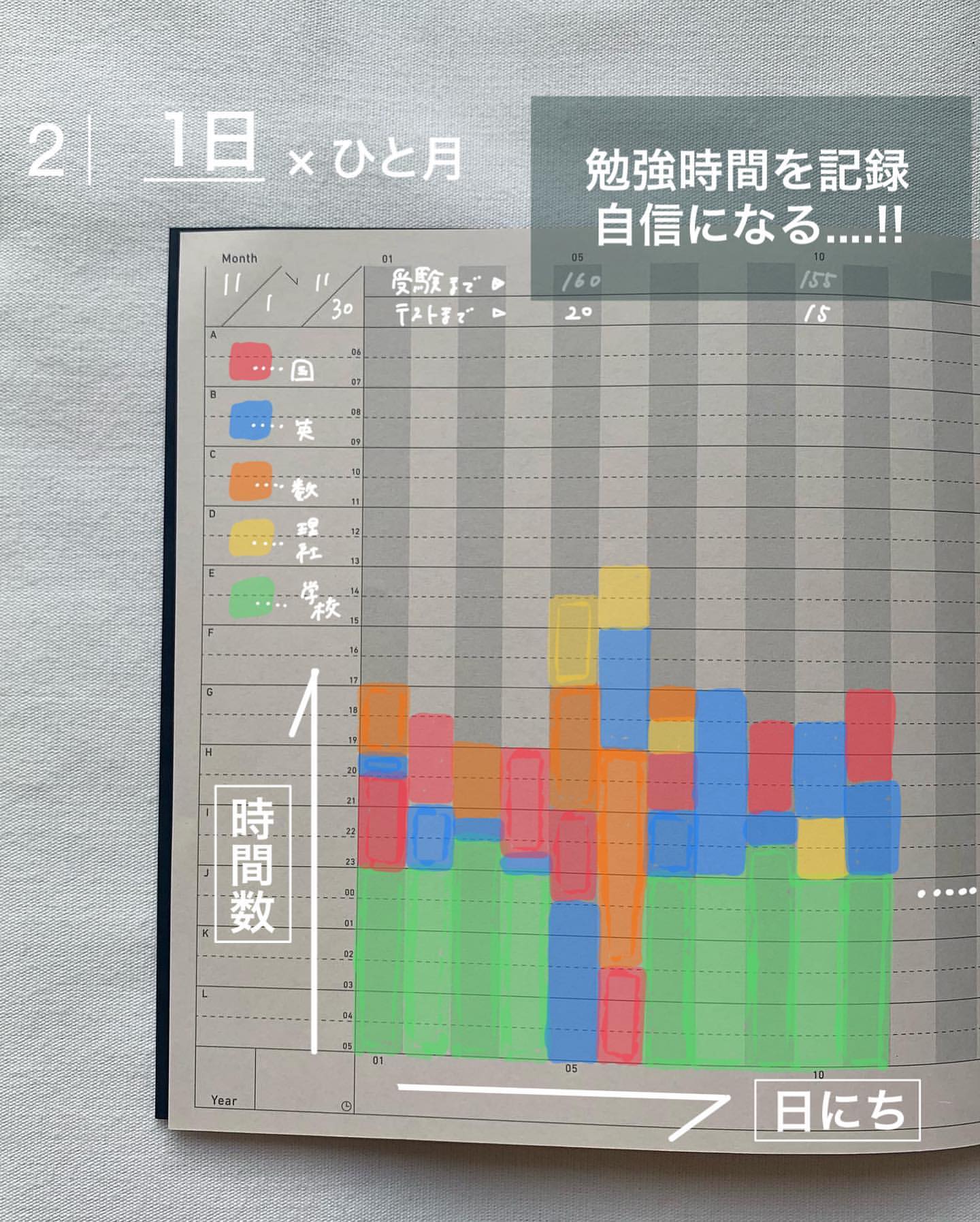 Sikigu Project Plan (Sage) - Image 4