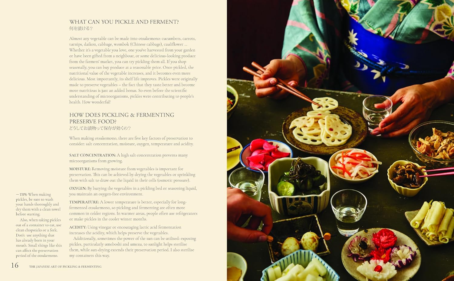 The Japanese Art of Pickling & Fermenting - Image 3