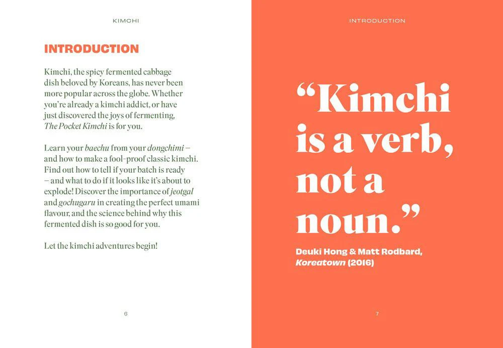 The Pocket Kimchi - Image 3