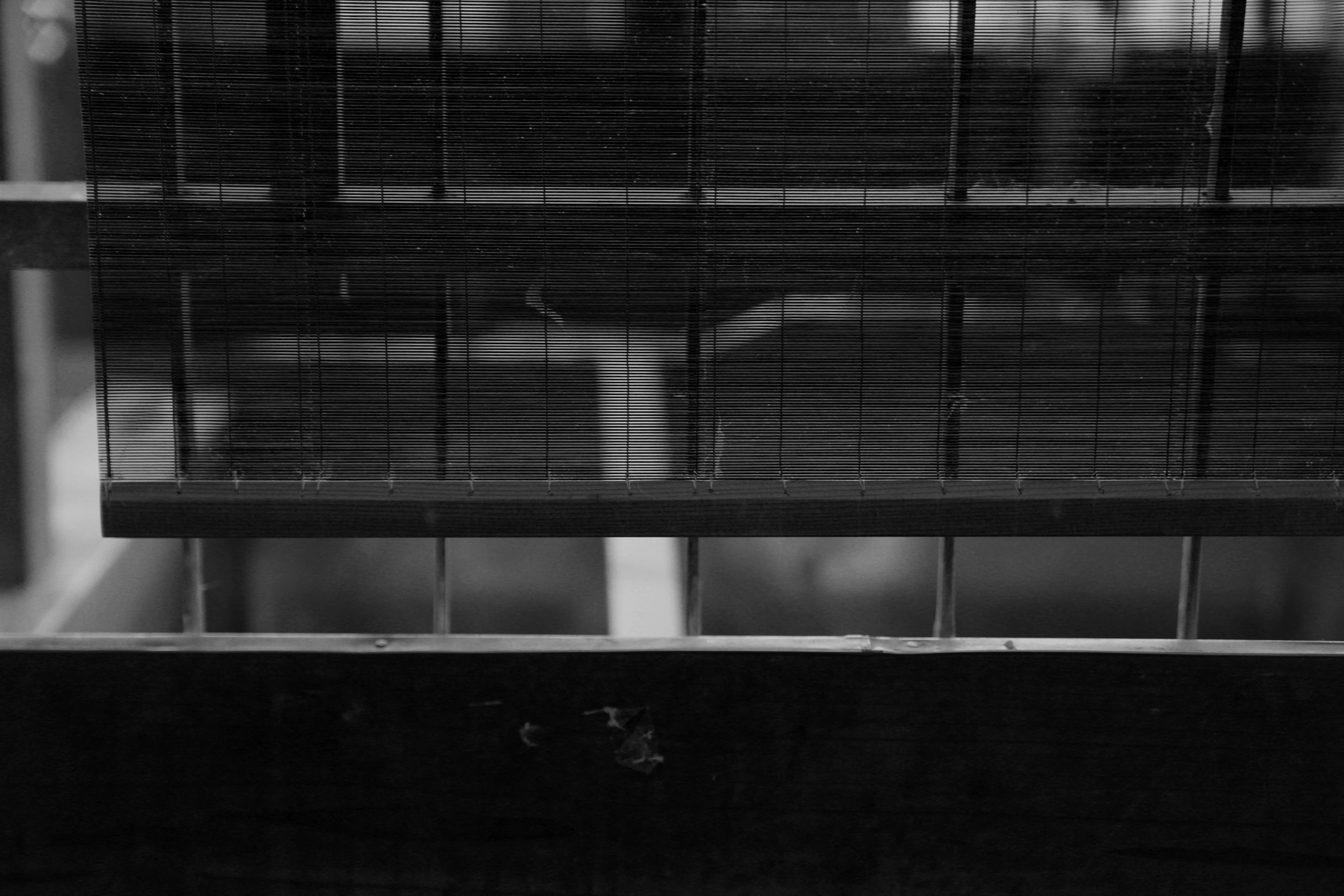 Y.S.M and-on Light - Image 6